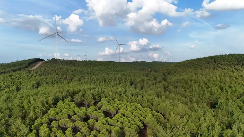 AI Driven Climate Change Mitigation Strategies
