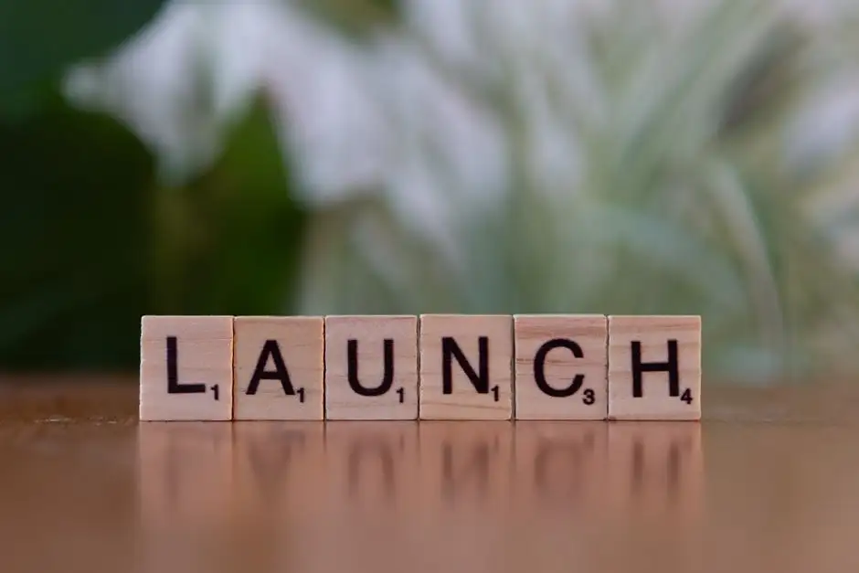 4. Protocols for a Successful Domain Launch